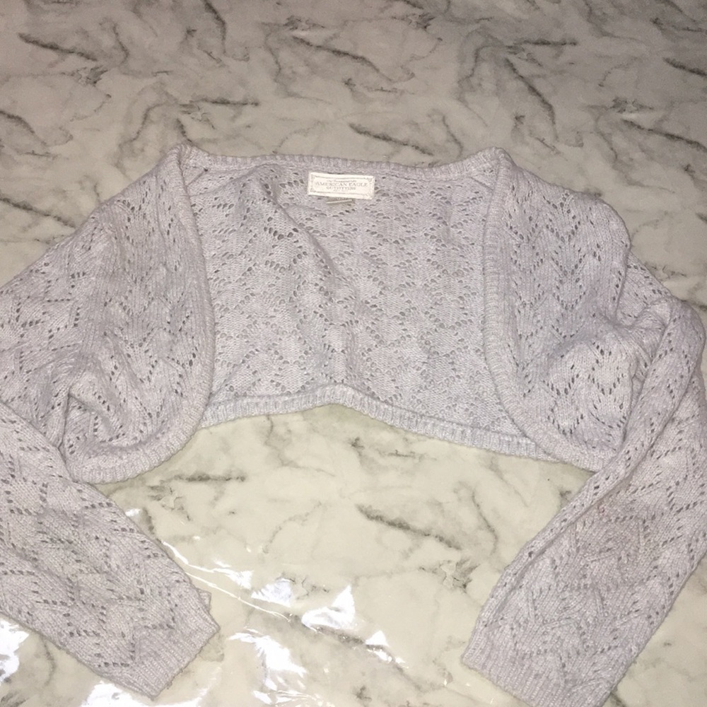 American Eagle Cropped Sweater